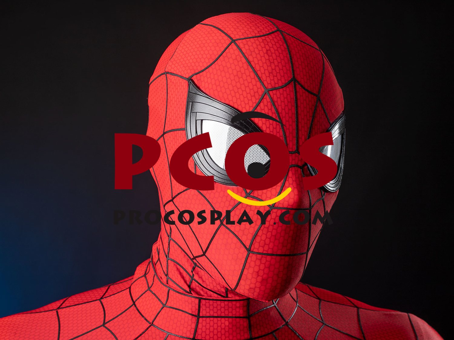 Ready to Ship Brand New Day Peter Parker Cosplay Costume C09588S