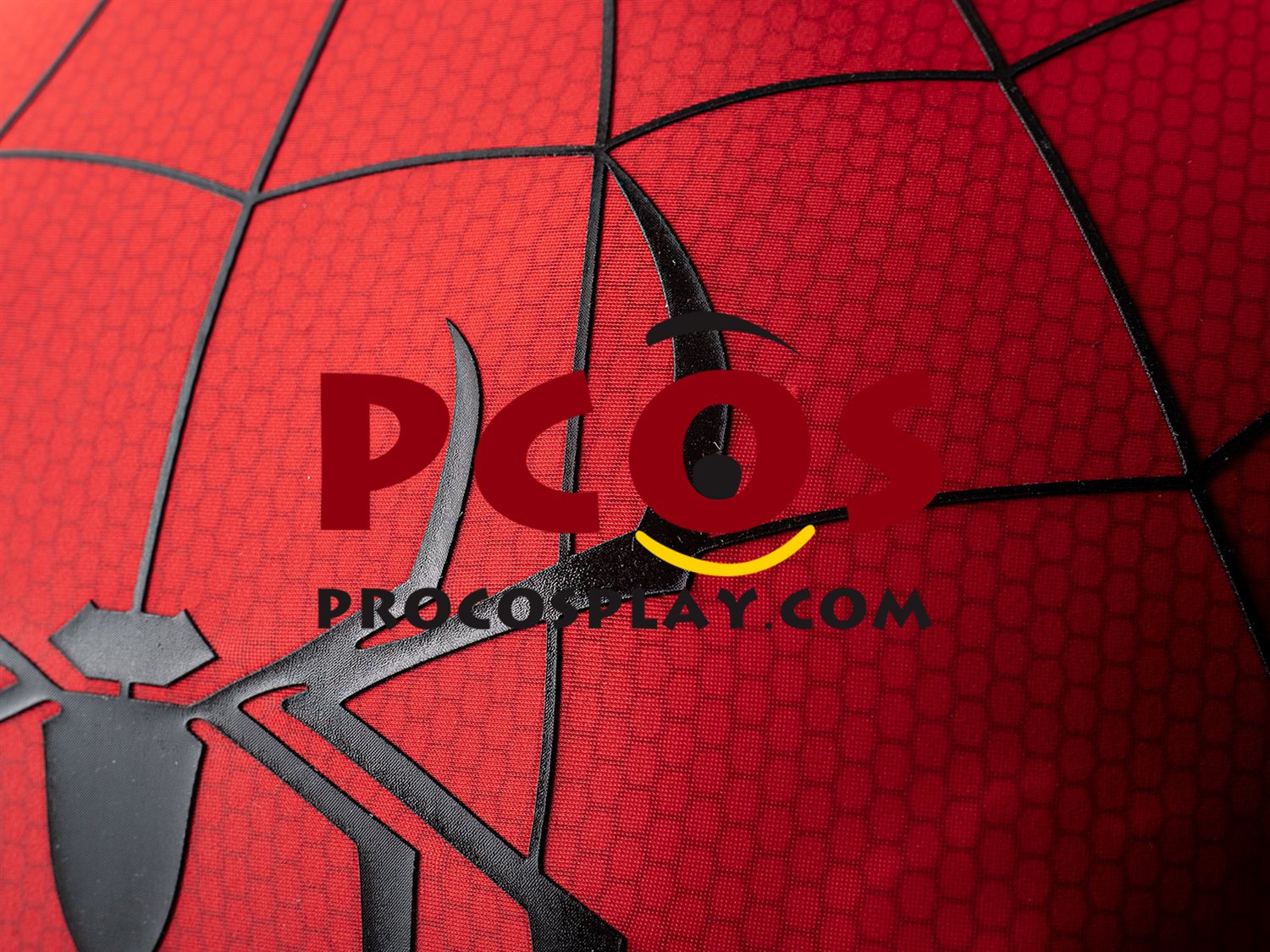 Ready to Ship Brand New Day Peter Parker Cosplay Costume C09588S