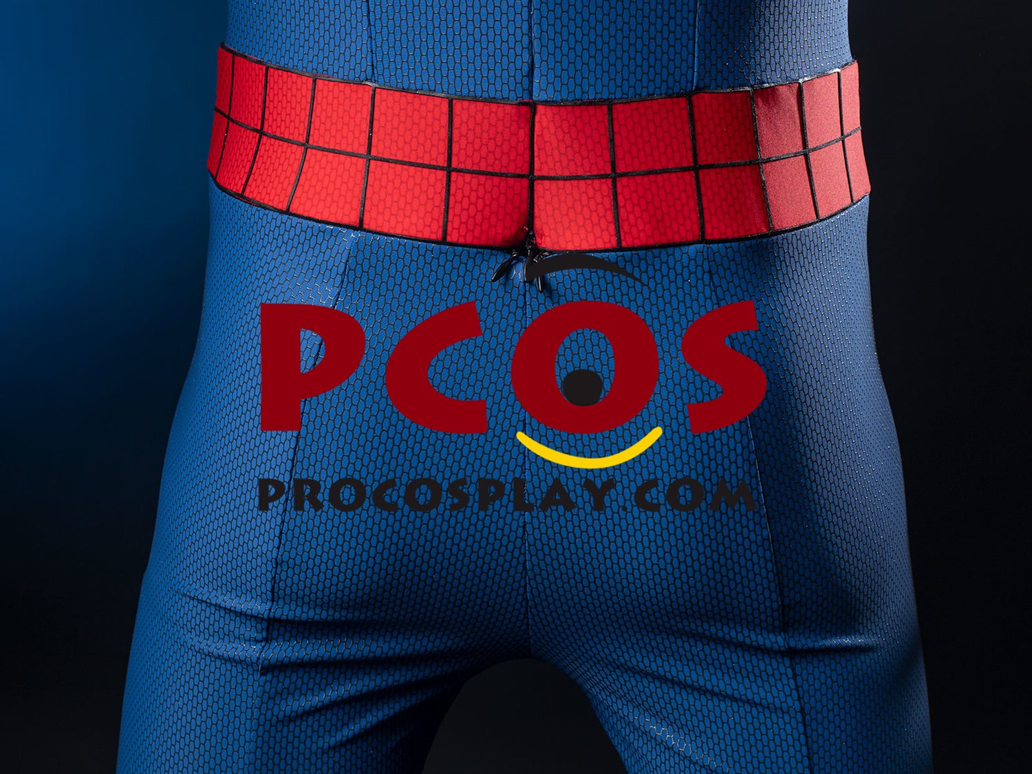 Ready to Ship Brand New Day Peter Parker Cosplay Costume C09588S