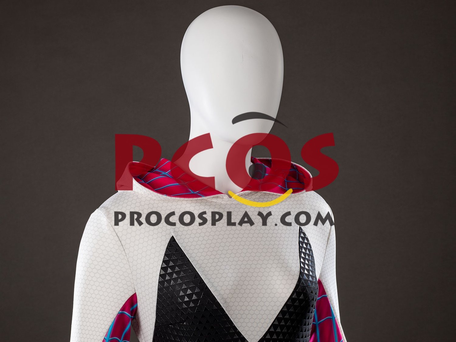 Across the Spider-Verse Gwen Stacy Cosplay Costume C09926