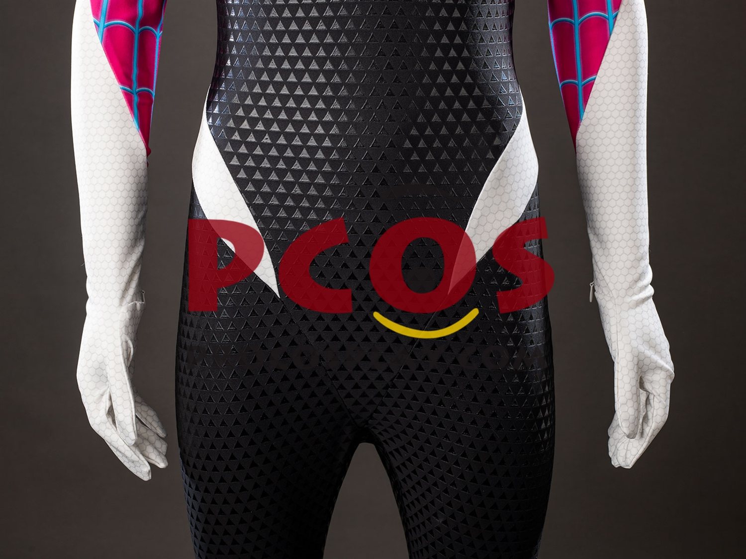 Across the Spider-Verse Gwen Stacy Cosplay Costume C09926