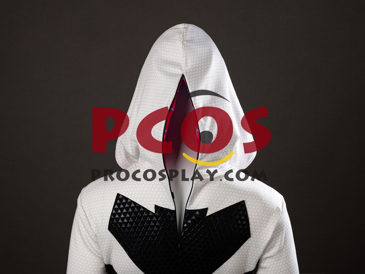 Across the Spider-Verse Gwen Stacy Cosplay Costume C09926