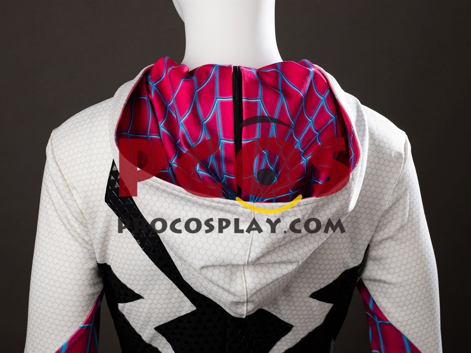 Across the Spider-Verse Gwen Stacy Cosplay Costume C09926