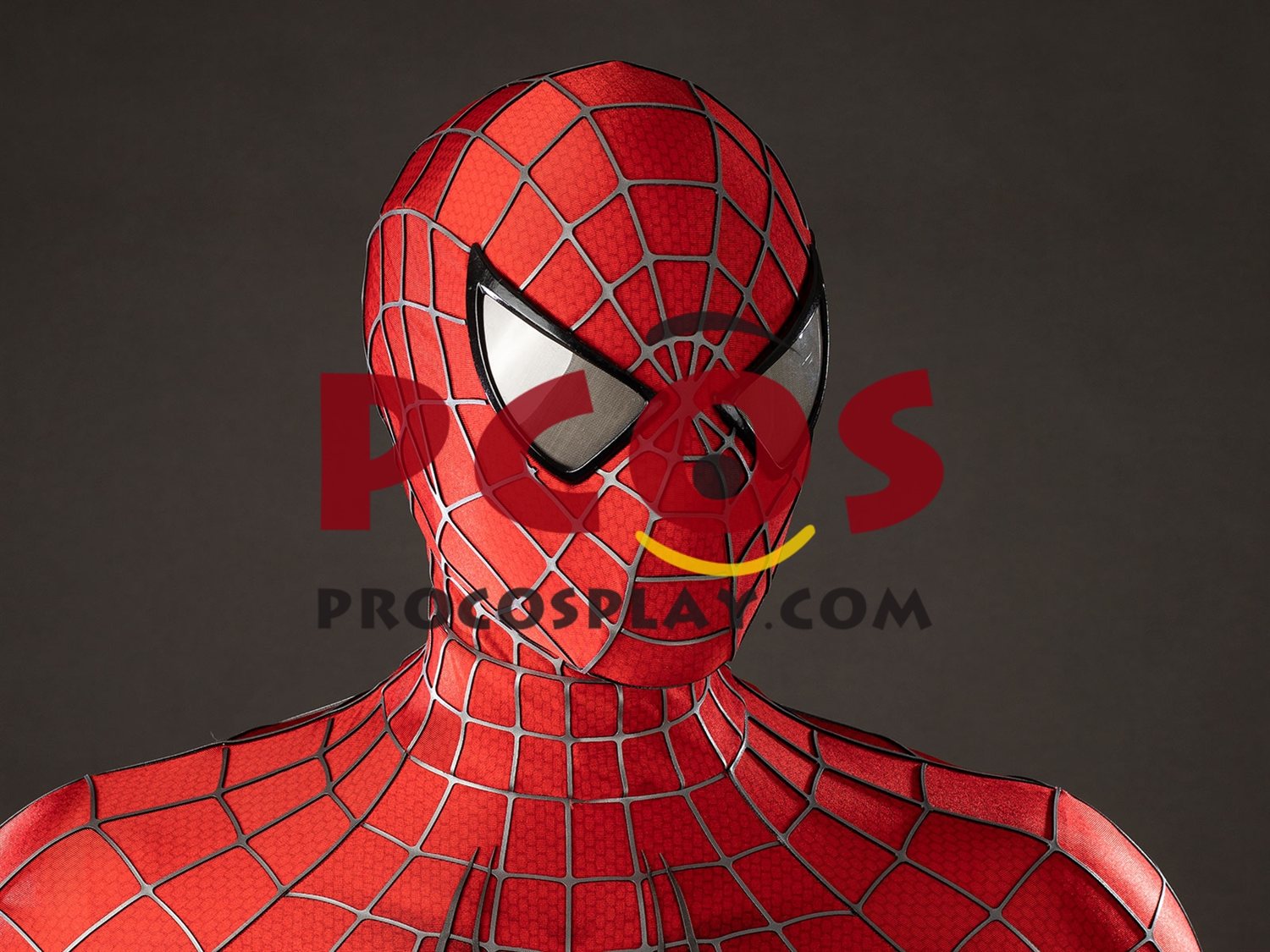 Ready to Ship 2004 Movie Peter Parker Cosplay Costume Distressed Version C10063