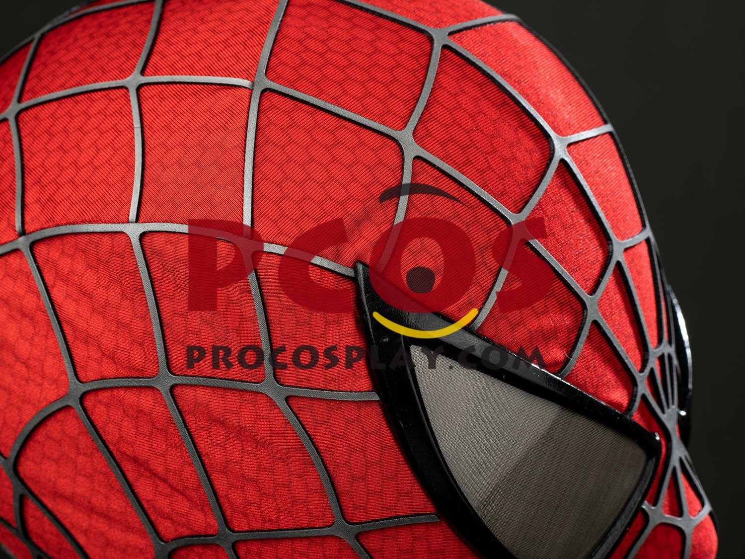 Ready to Ship 2004 Movie Peter Parker Cosplay Costume Distressed Version C10063