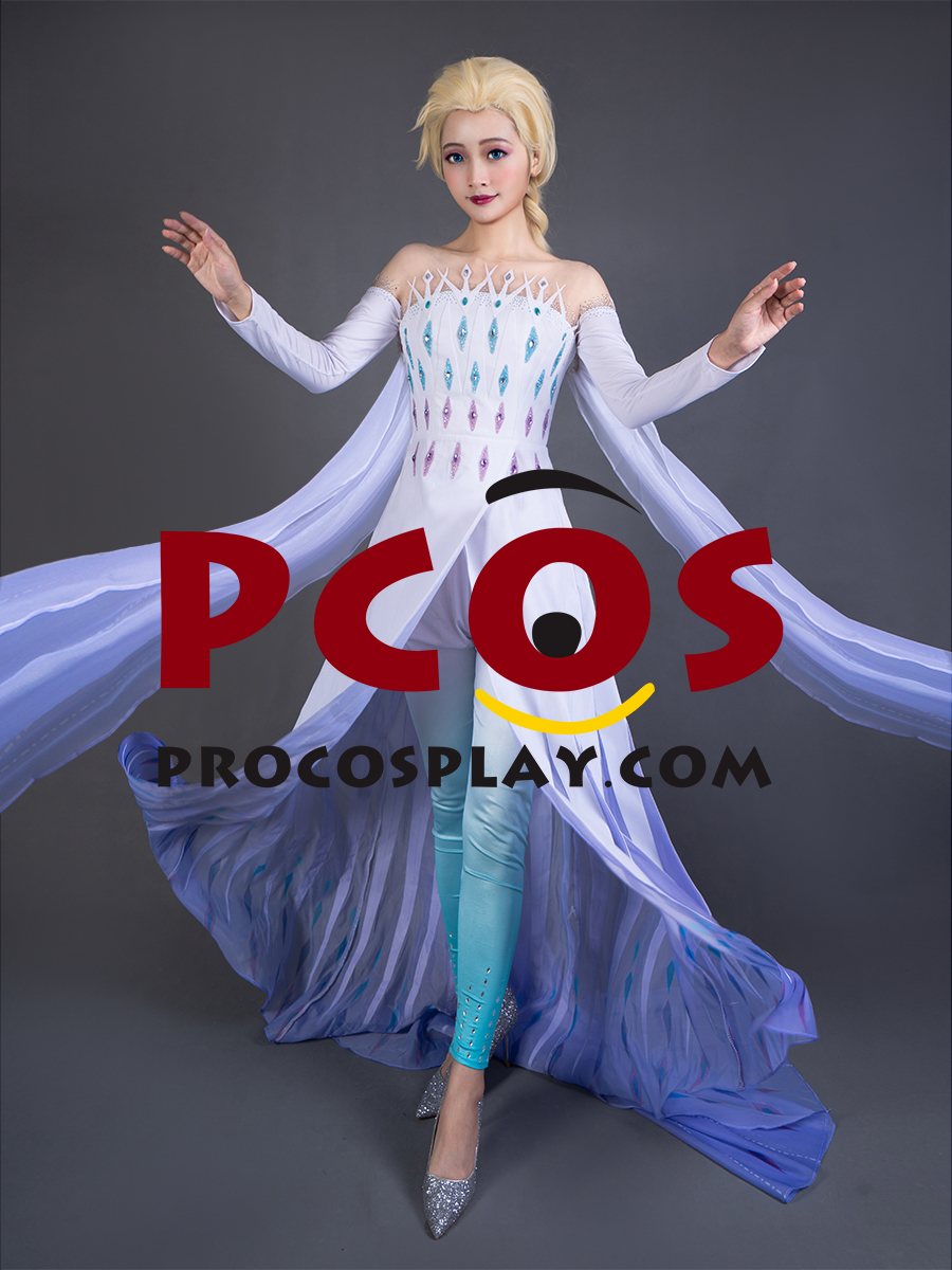 (image for) Frozen 2 Elsa Spirit Dress Cosplay Costume mp005584