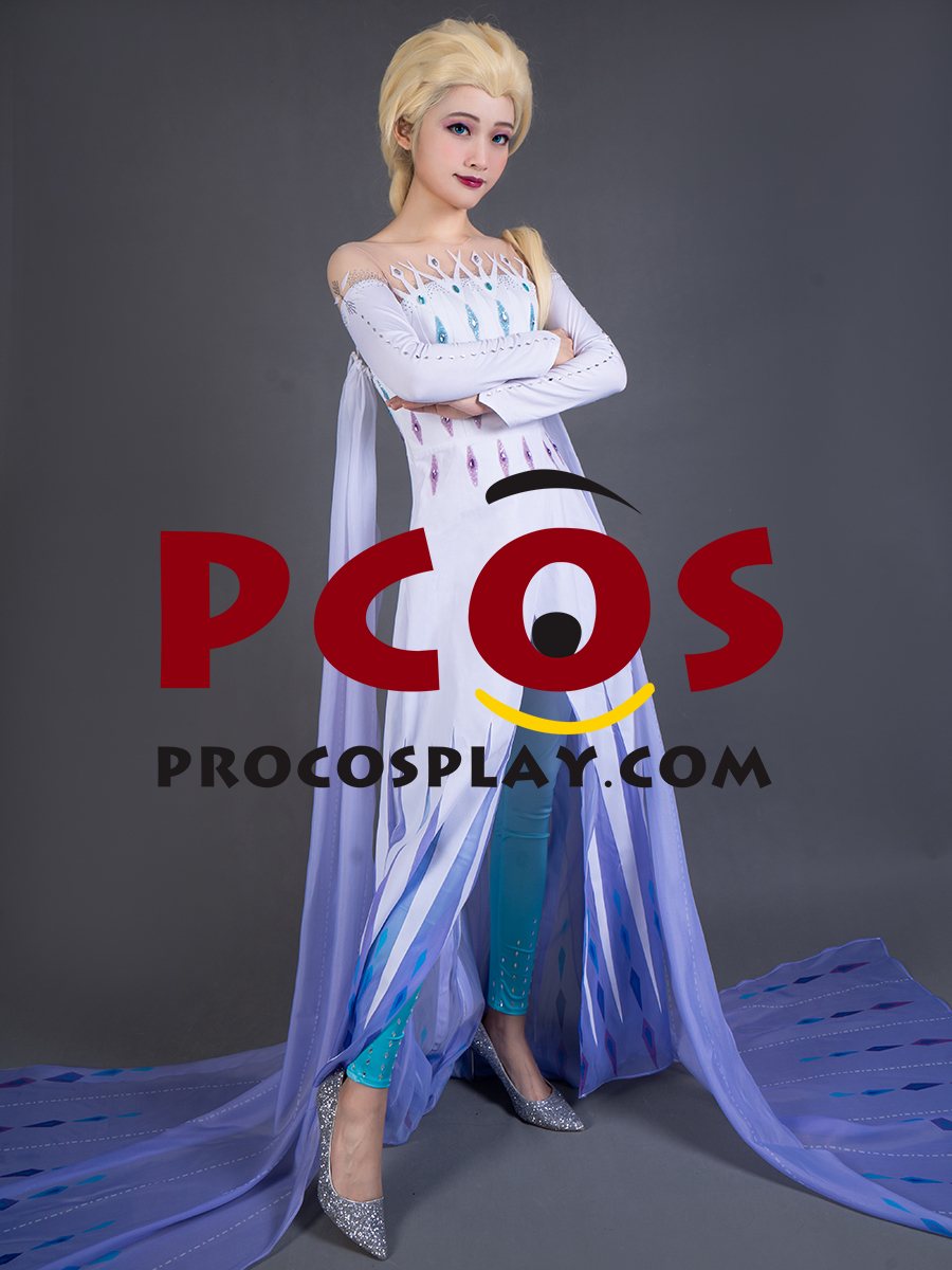 Frozen 2 Elsa Spirit Dress Cosplay Costume mp005584