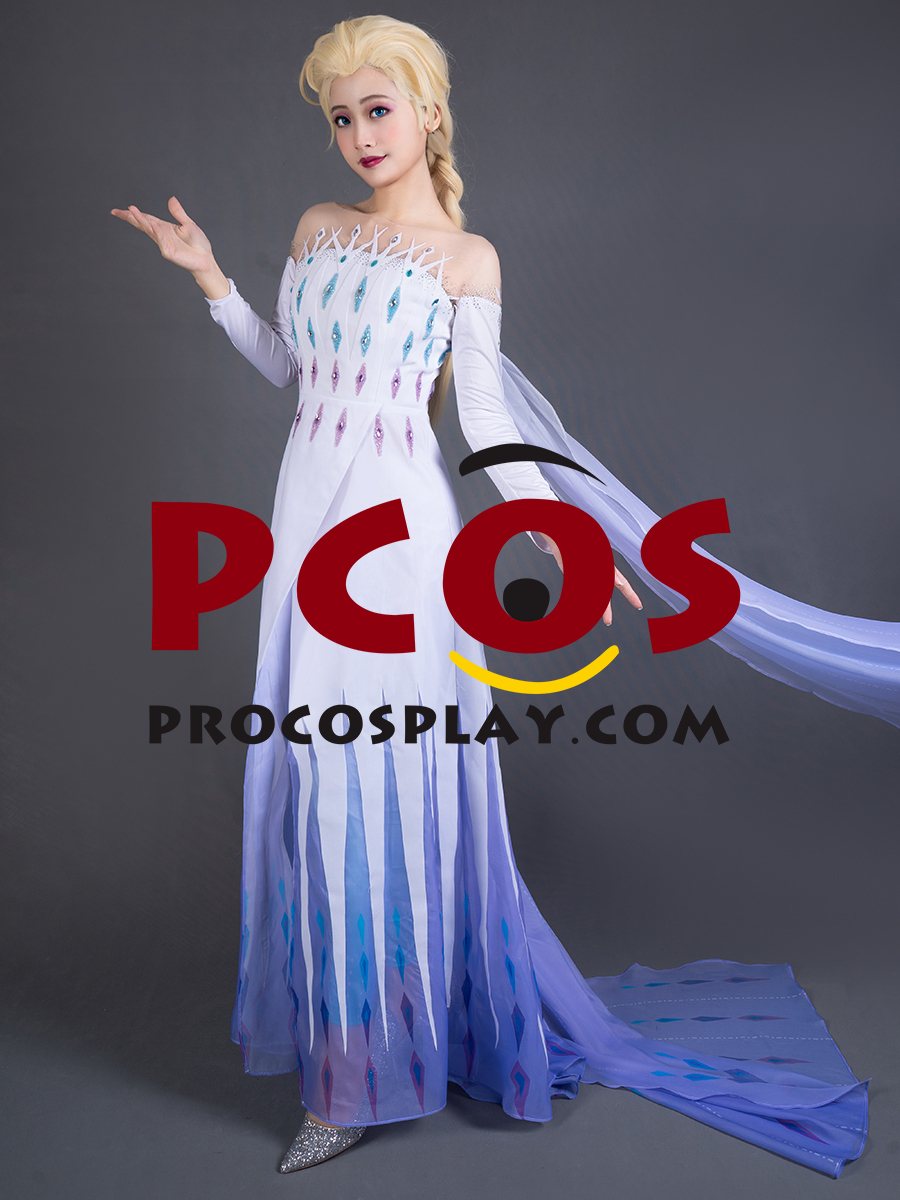 Frozen 2 Elsa Spirit Dress Cosplay Costume mp005584