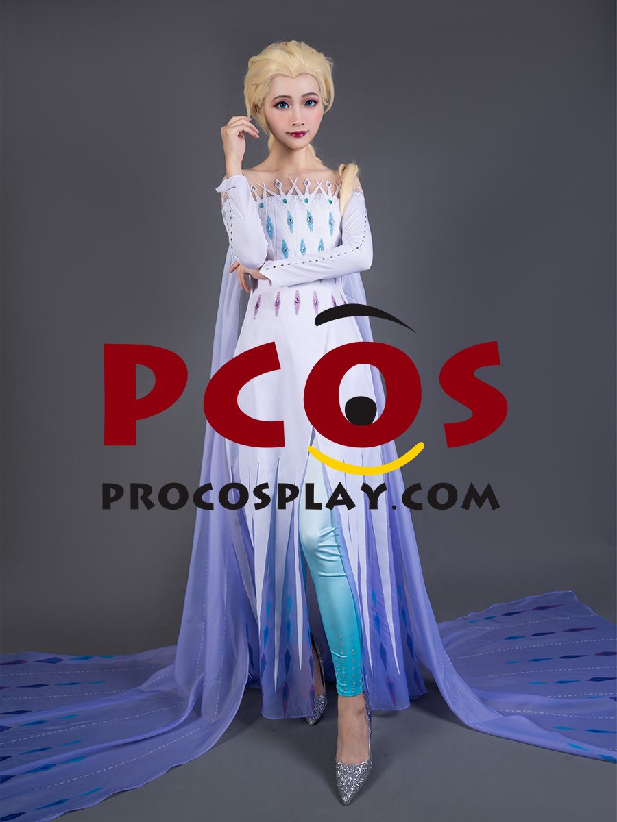 Frozen 2 Elsa Spirit Dress Cosplay Costume mp005584