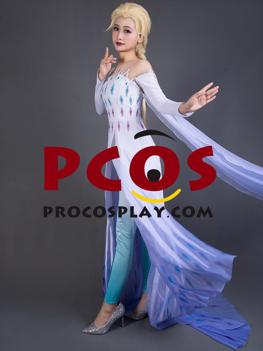 Frozen 2 Elsa Spirit Dress Cosplay Costume mp005584