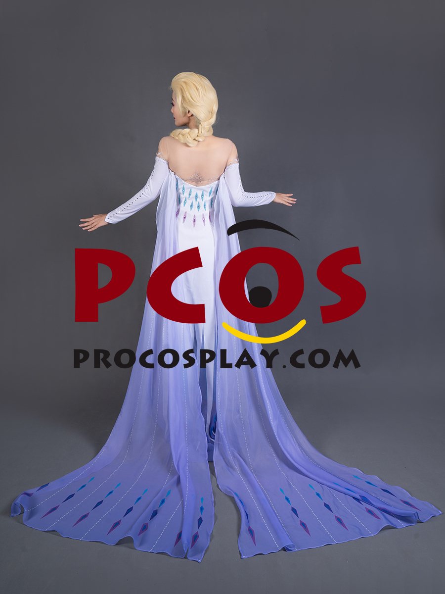 Frozen 2 Elsa Spirit Dress Cosplay Costume mp005584