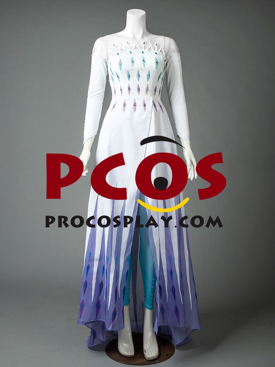 Frozen 2 Elsa Spirit Dress Cosplay Costume mp005584