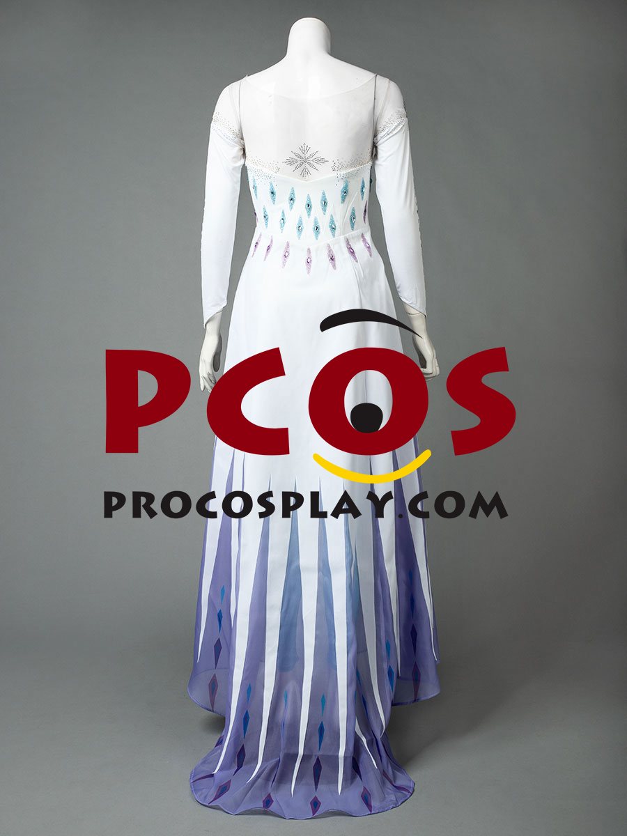 Frozen 2 Elsa Spirit Dress Cosplay Costume mp005584