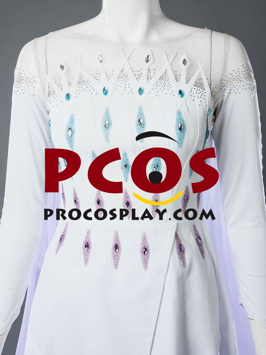 Frozen 2 Elsa Spirit Dress Cosplay Costume mp005584