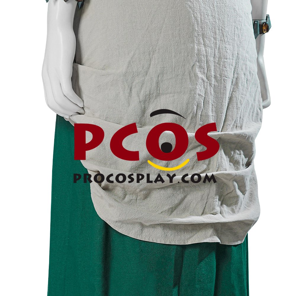 The Legend of Zelda: Tears of the Kingdom Hyrule Princess Zelda Cosplay Costume C08179