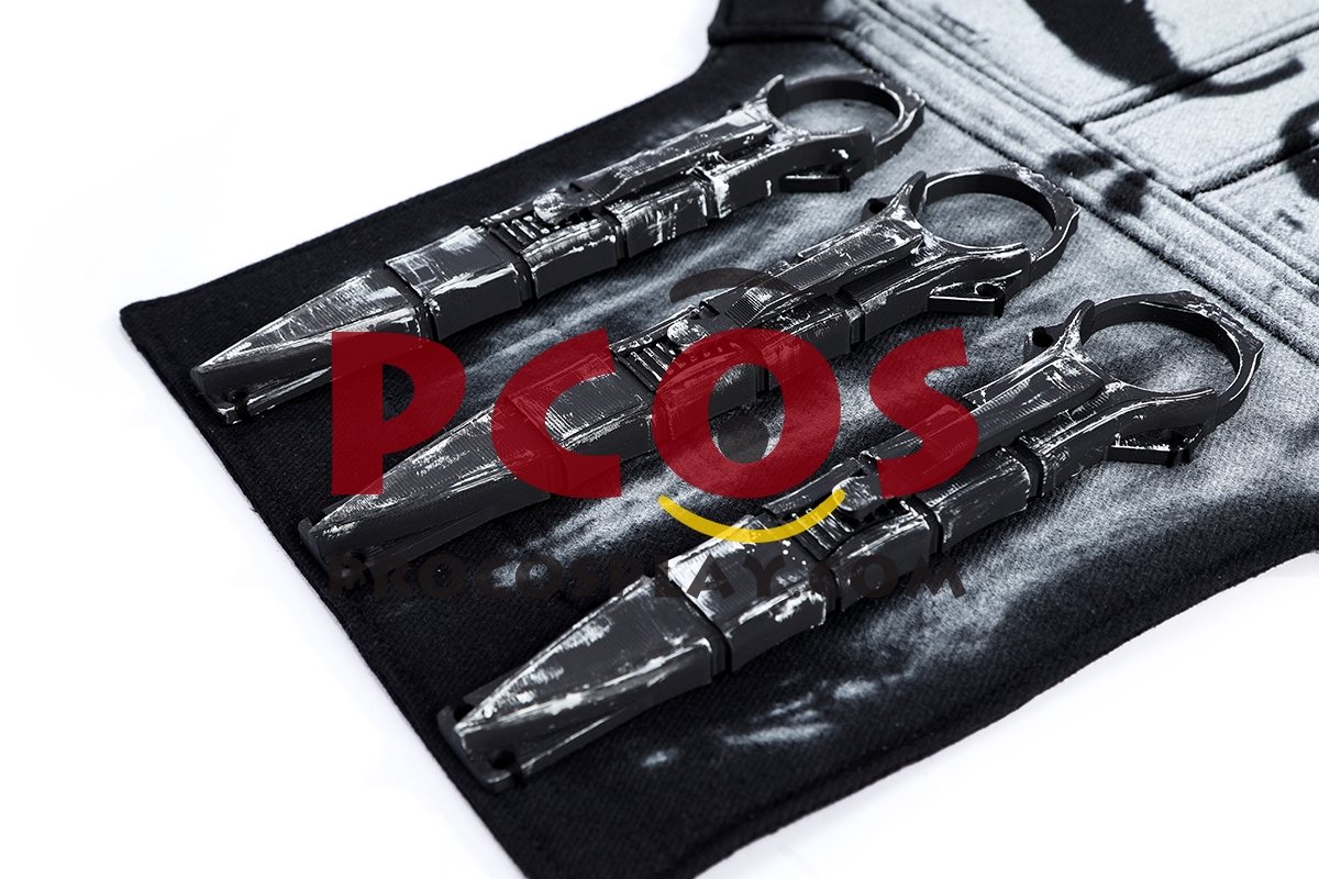 Brand New Day Frank Castle Cosplay Costume C10077