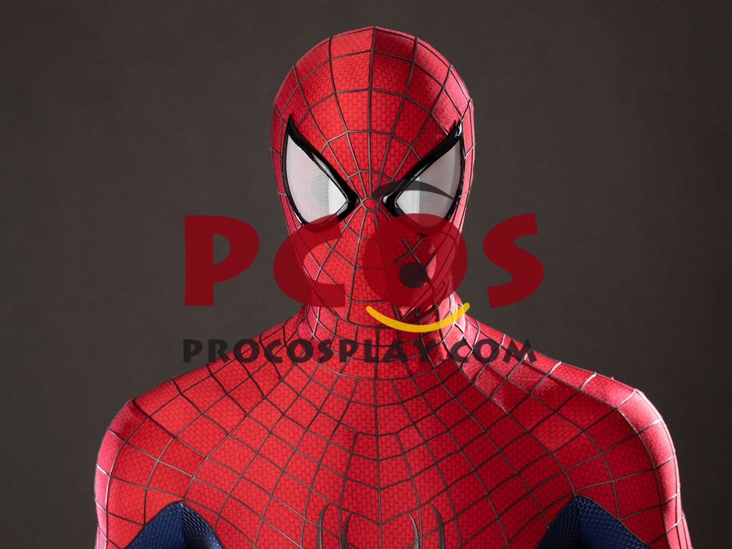 Amazing 2 Peter Parker Cosplay Costume C10023S