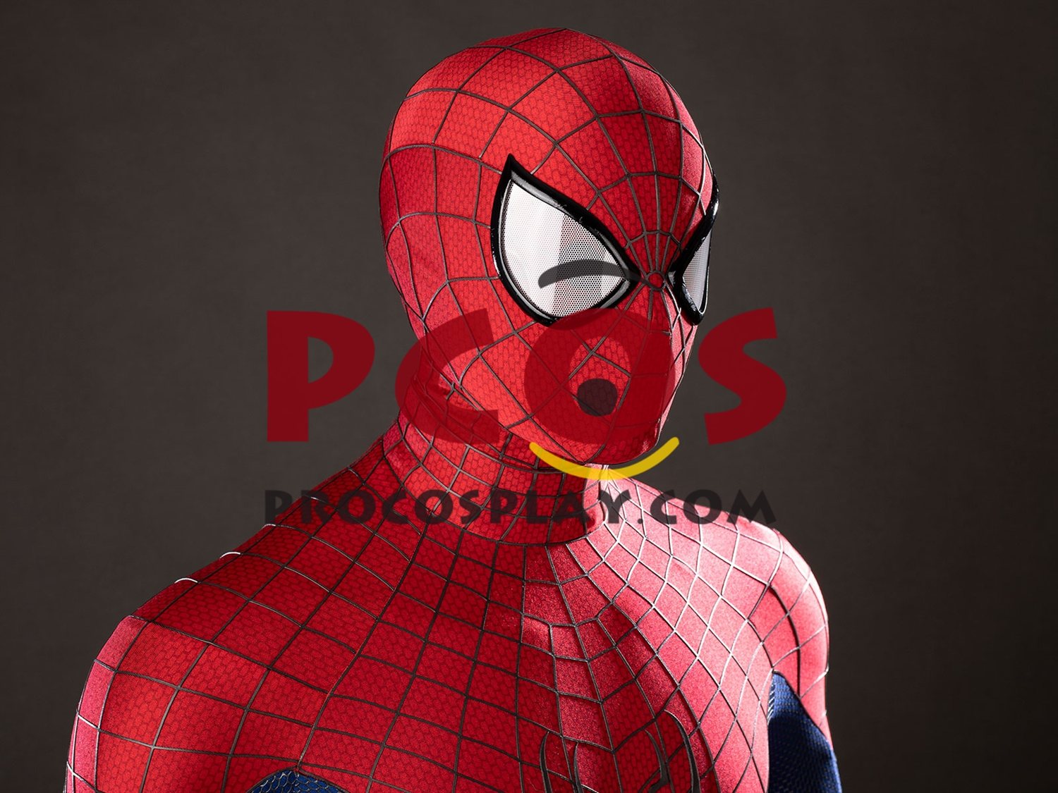 Amazing 2 Peter Parker Cosplay Costume C10023S
