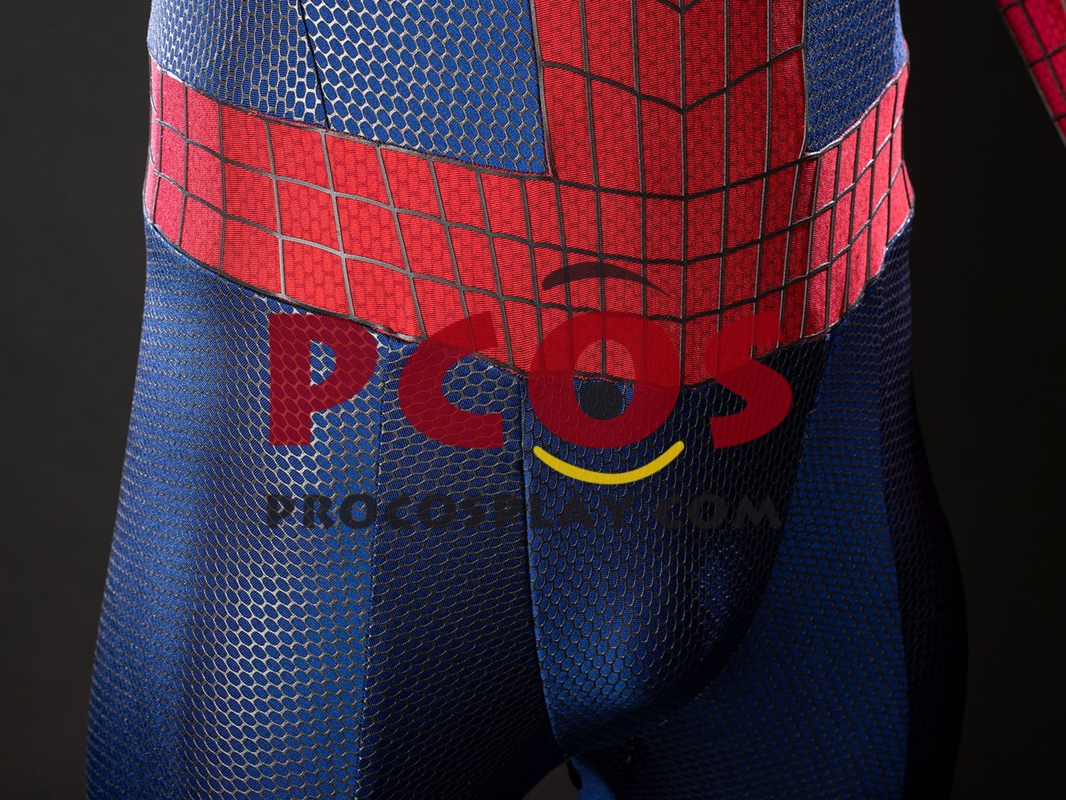 Amazing 2 Peter Parker Cosplay Costume C10023S