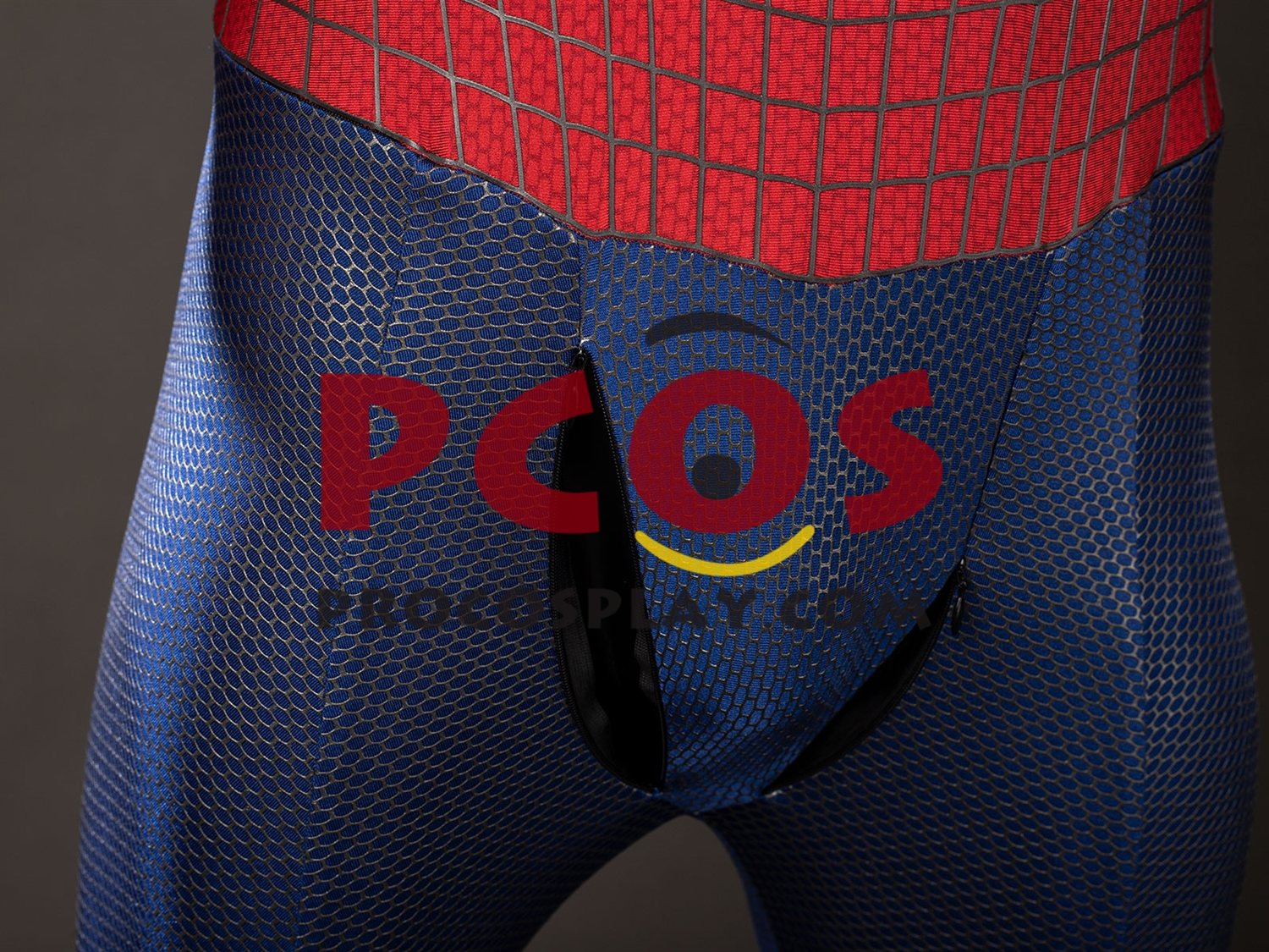 Amazing 2 Peter Parker Cosplay Costume C10023S