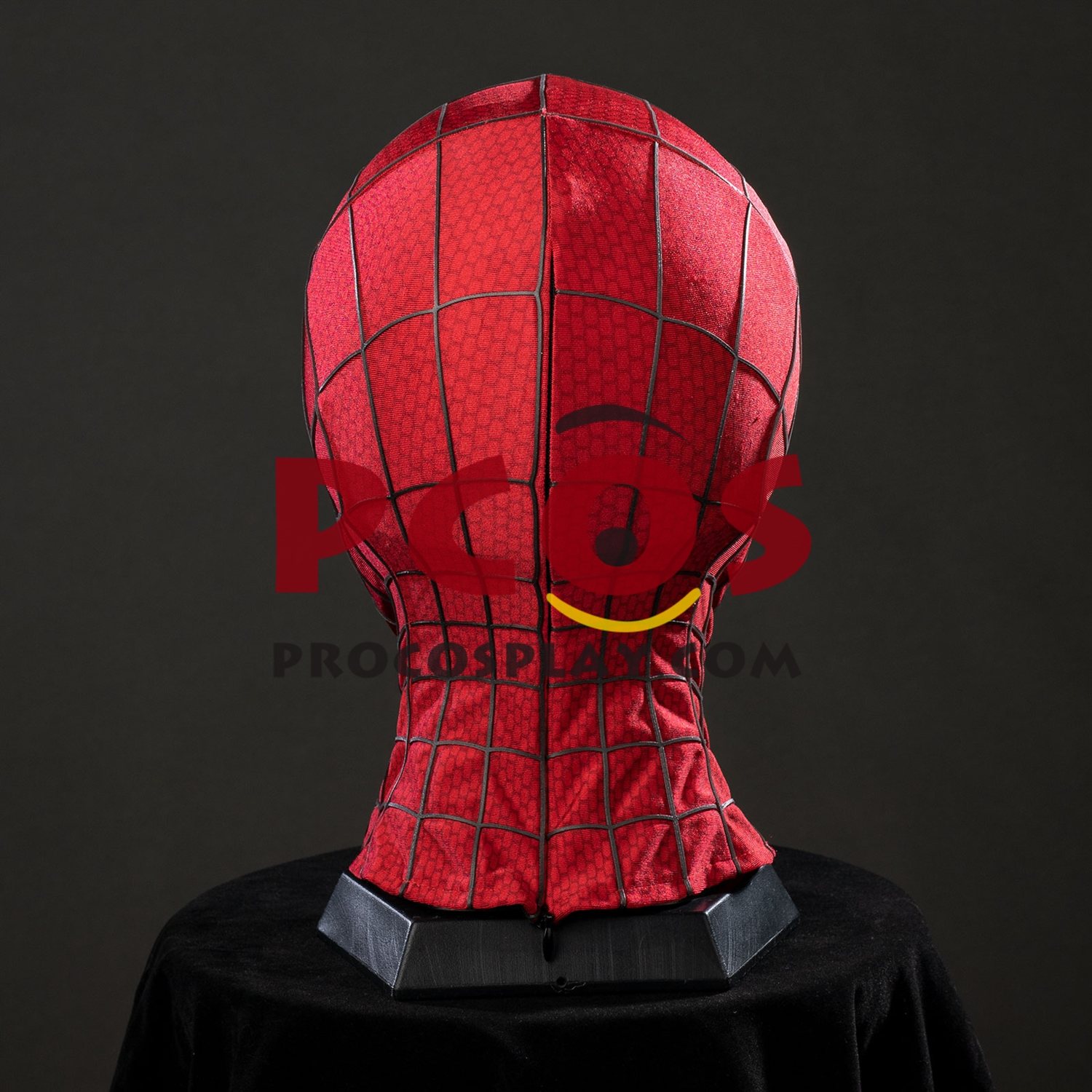 Amazing 2 Peter Parker Cosplay Costume C10023S