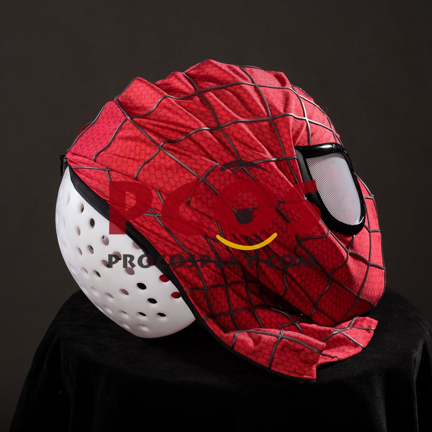 Amazing 2 Peter Parker Cosplay Costume C10023S