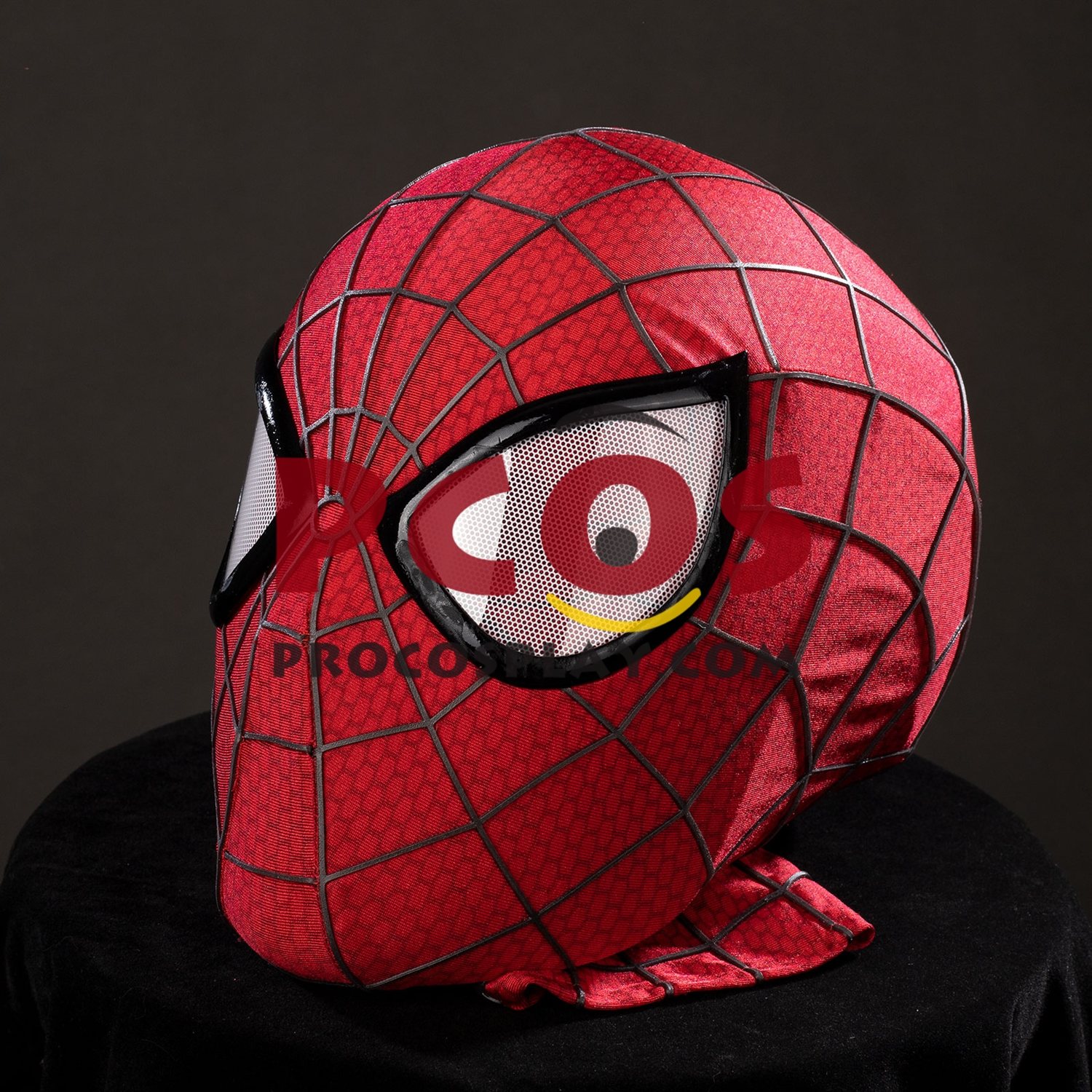 Amazing 2 Peter Parker Cosplay Costume C10023S