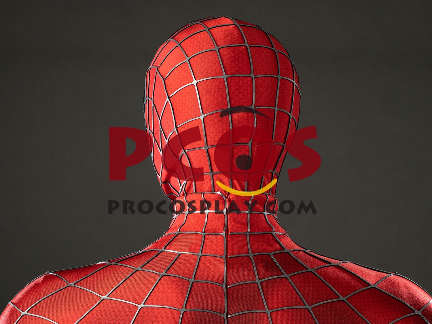 2004 Movie Peter Parker Cosplay Costume Distressed Version C10063