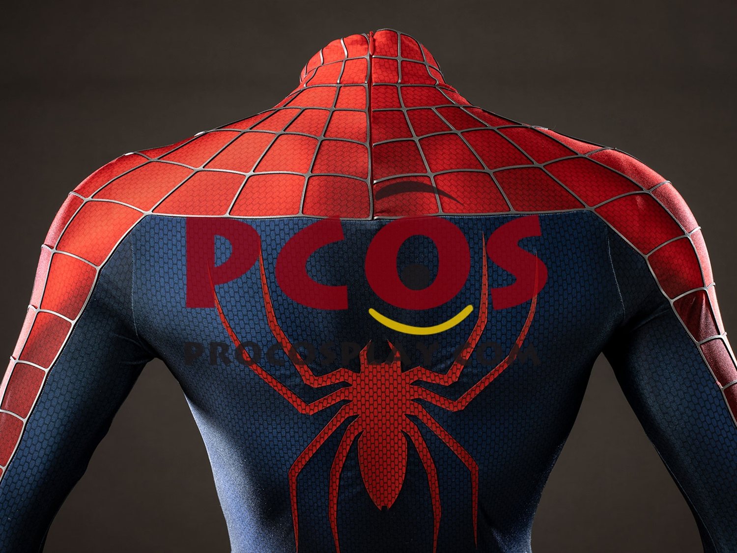 2004 Movie Peter Parker Cosplay Costume Distressed Version C10063