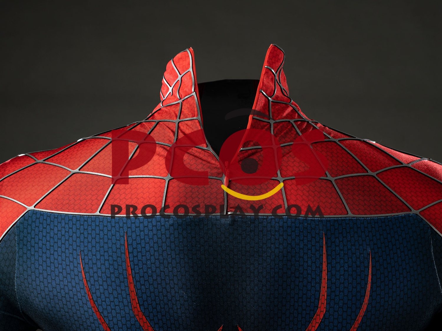 2004 Movie Peter Parker Cosplay Costume Distressed Version C10063