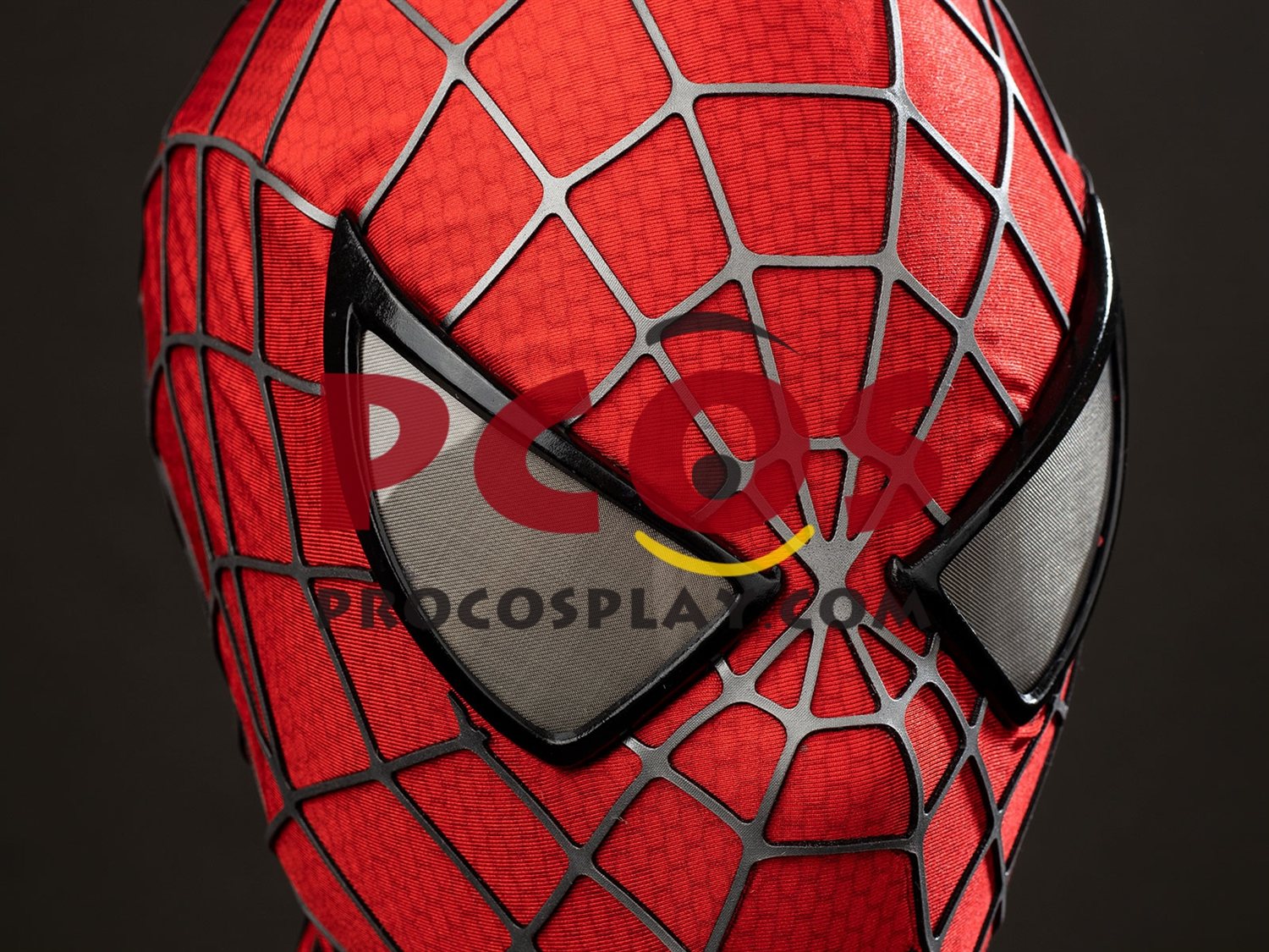 2004 Movie Peter Parker Cosplay Costume Distressed Version C10063