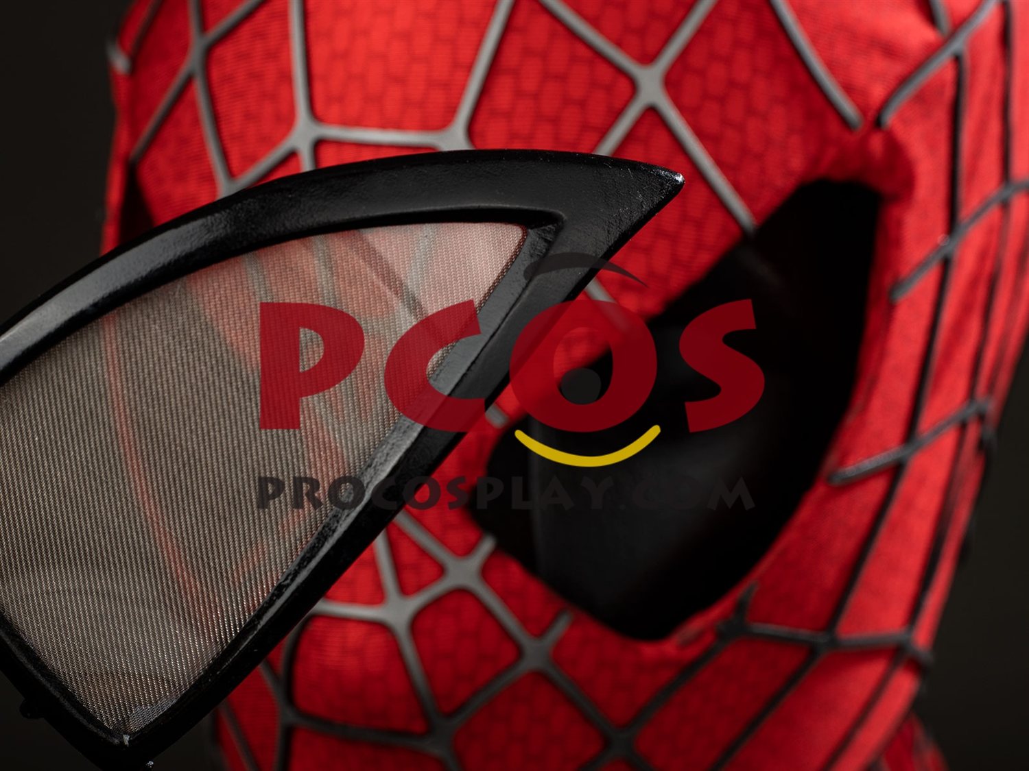 2004 Movie Peter Parker Cosplay Costume Distressed Version C10063