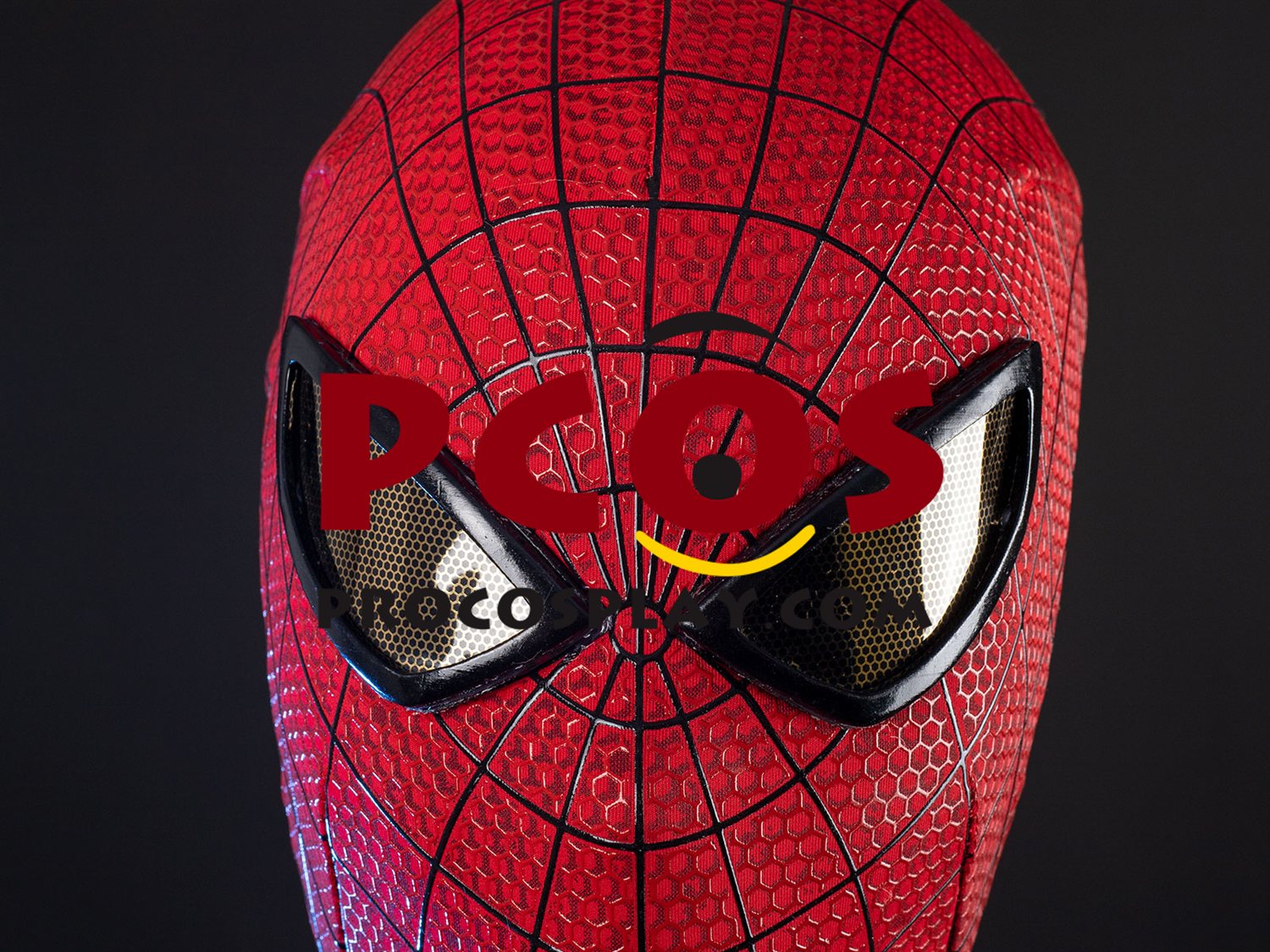 Ready to Ship Amazing Peter Parker Cosplay Costume C09221S