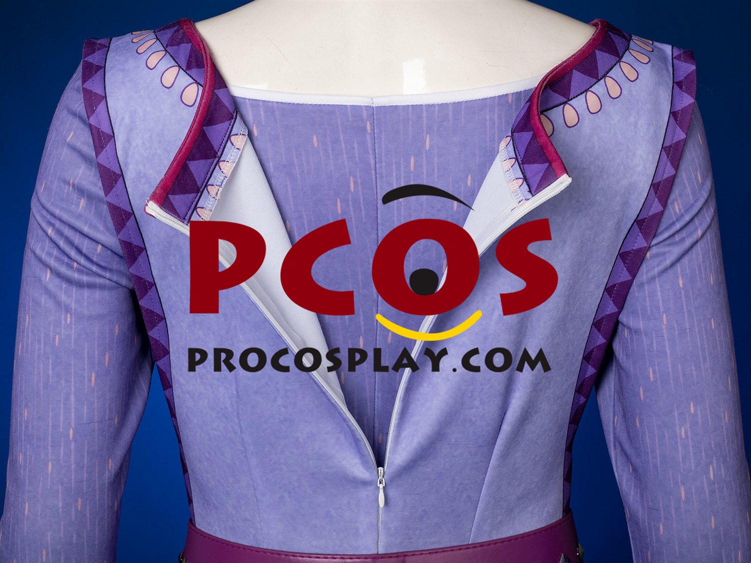 2023 Movie Wish Asha Cosplay Costume C08734 Upgraded Version