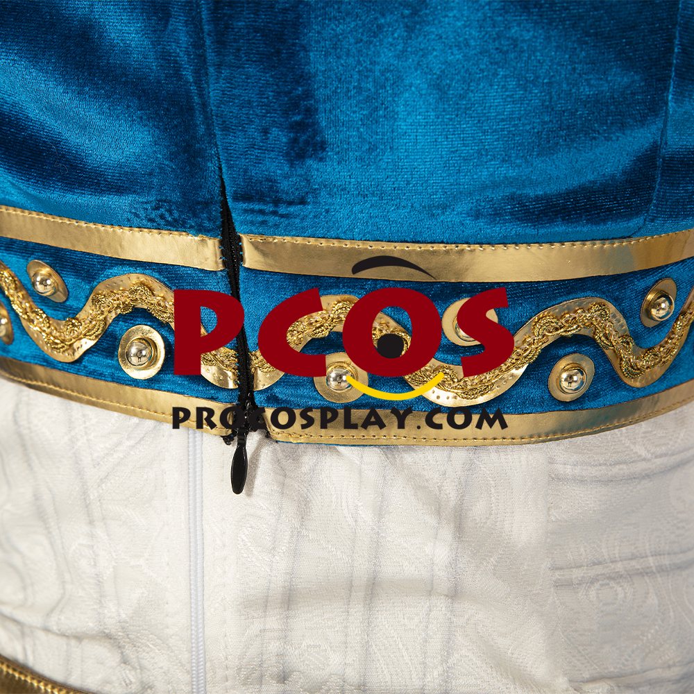 The Legend of Zelda: Breath of the Wild Princess Zelda Cosplay Costume C09024