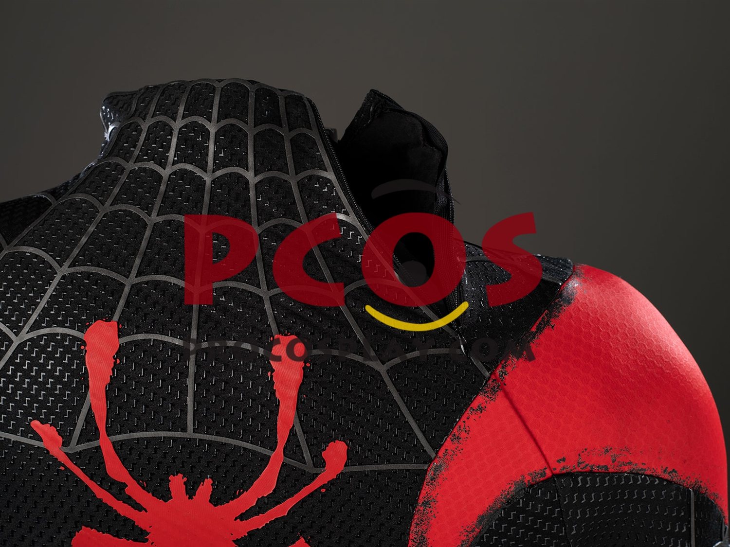 Into the Spider-Verse Miles Morales Cosplay Costume C10132