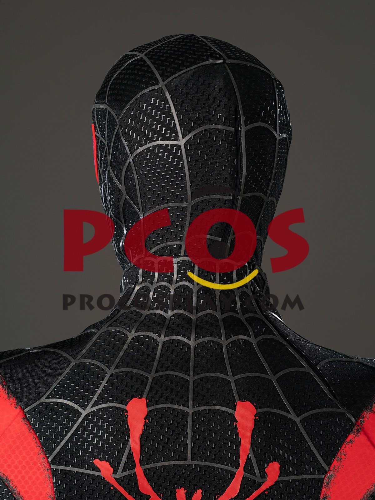 Into the Spider-Verse Miles Morales Cosplay Costume C10132