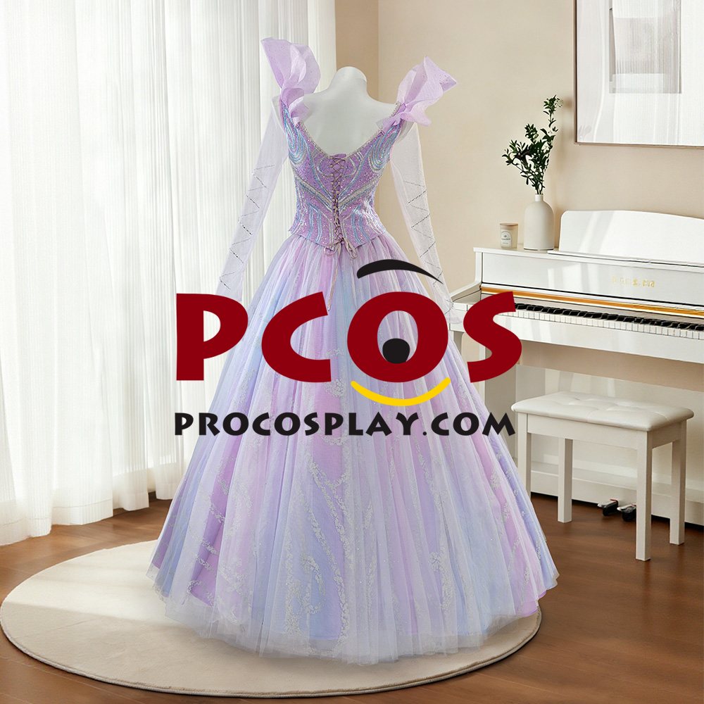 Princess Dress Cosplay Costume Embroidered Version C09790