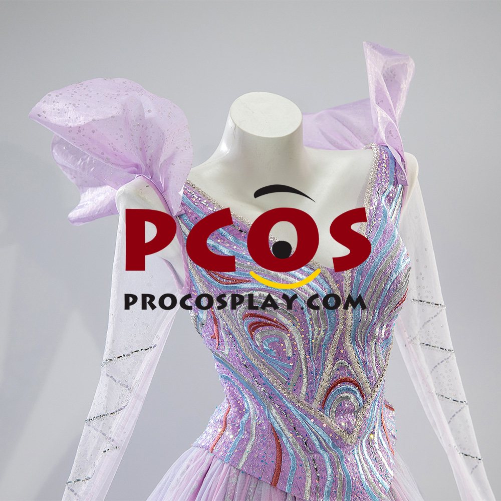 Princess Dress Cosplay Costume Embroidered Version C09790