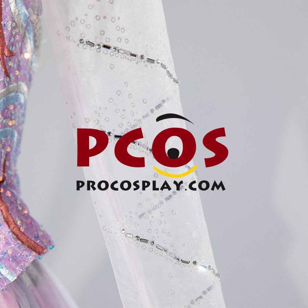 Princess Dress Cosplay Costume Embroidered Version C09790