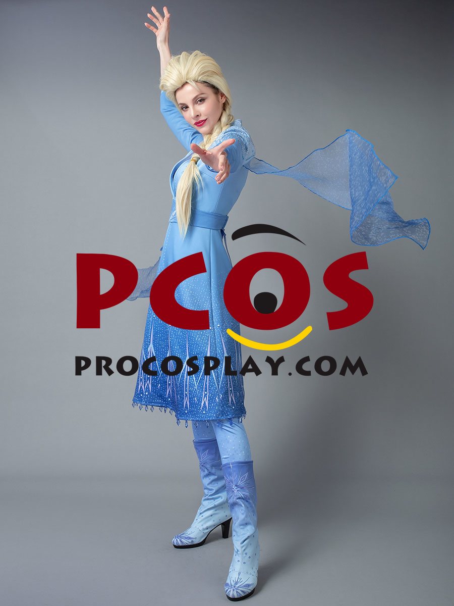Frozen 2 Elsa Cosplay Costume mp005238