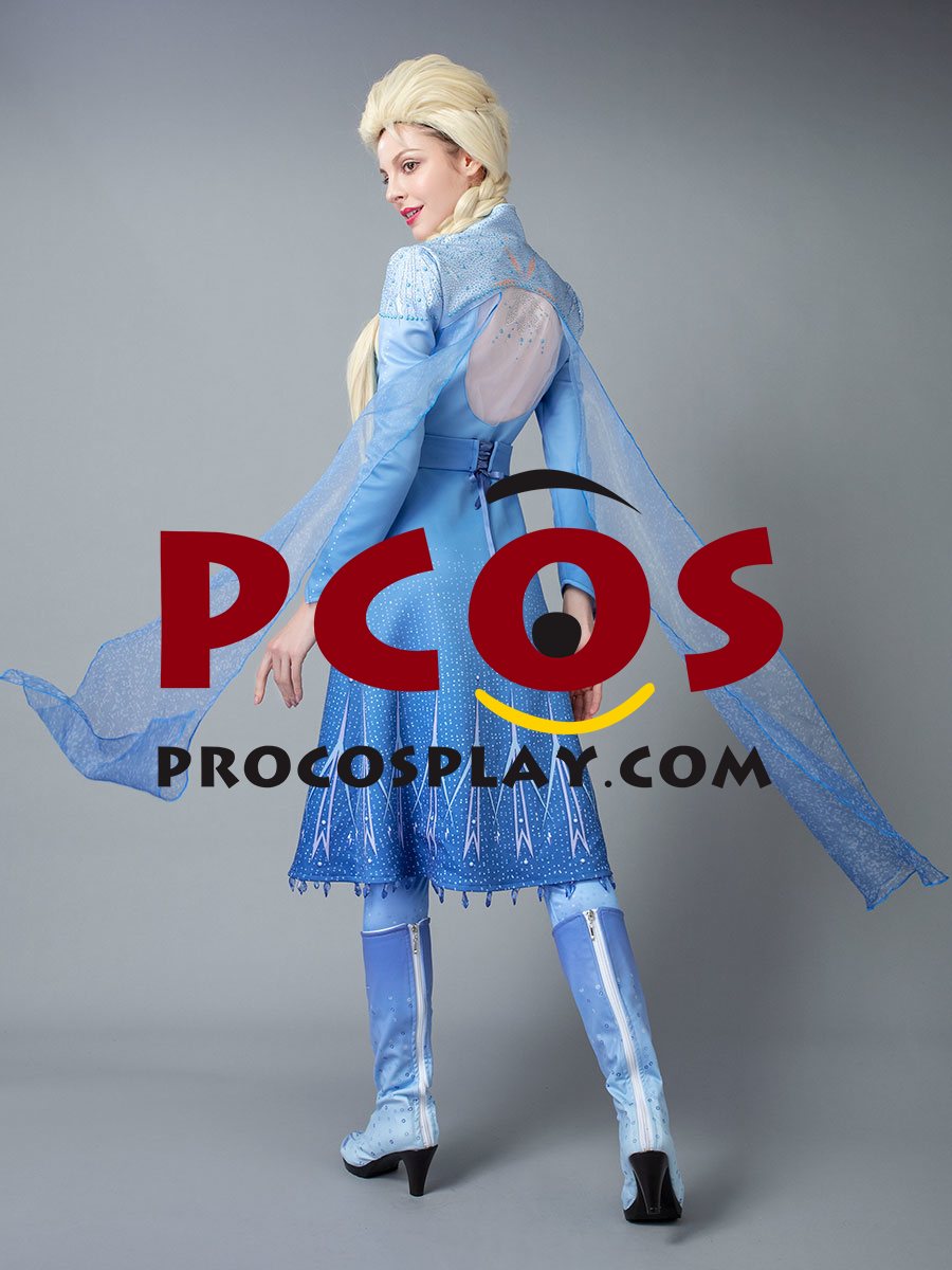 Frozen 2 Elsa Cosplay Costume mp005238