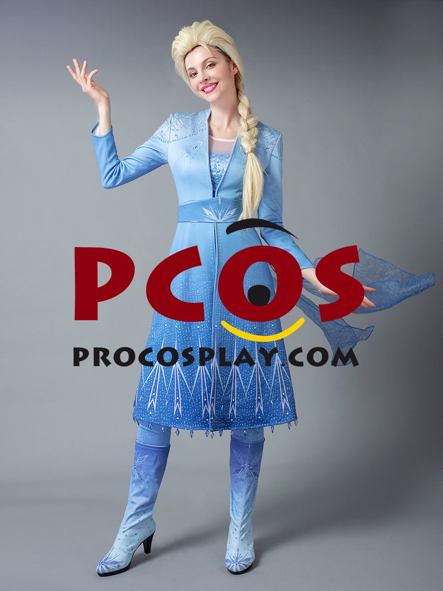 Frozen 2 Elsa Cosplay Costume mp005238