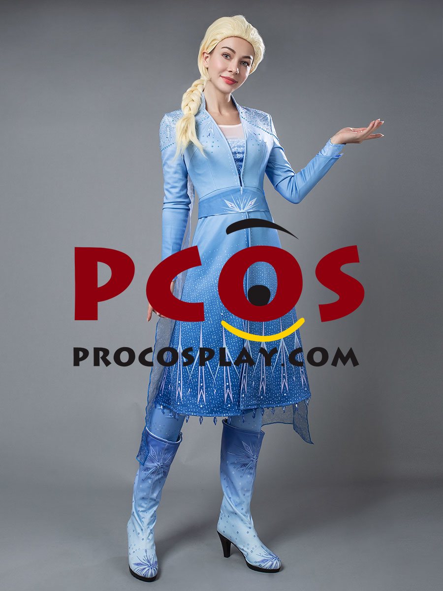 Frozen 2 Elsa Cosplay Costume mp005238