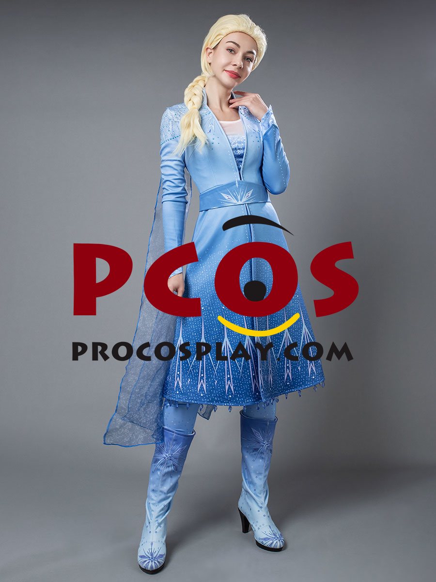 Frozen 2 Elsa Cosplay Costume mp005238