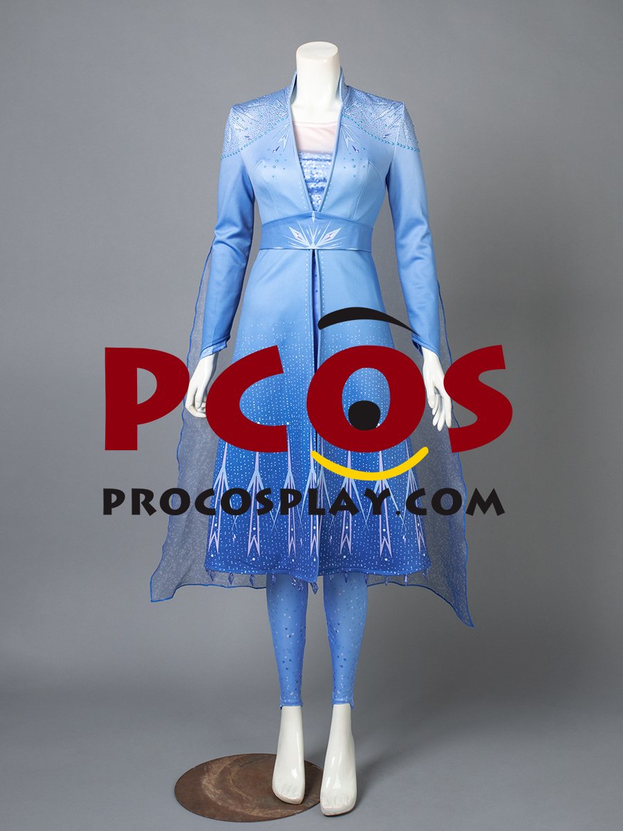 Frozen 2 Elsa Cosplay Costume mp005238