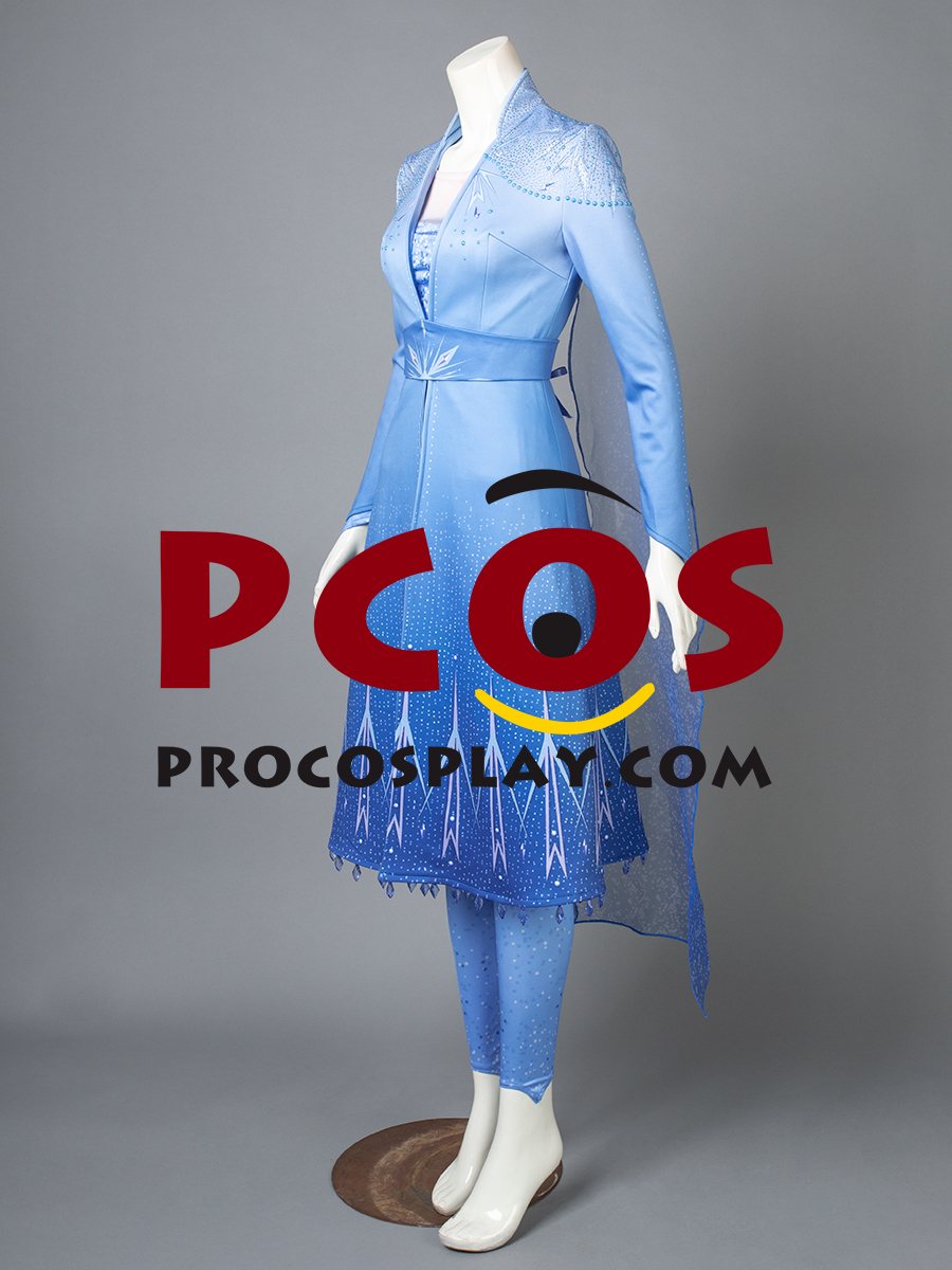 Frozen 2 Elsa Cosplay Costume mp005238