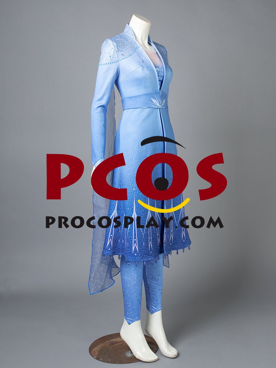 Frozen 2 Elsa Cosplay Costume mp005238