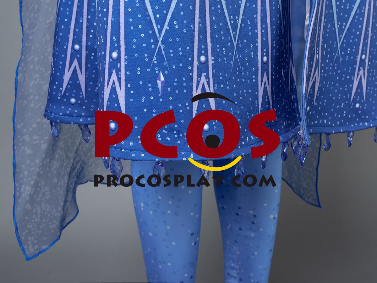 Frozen 2 Elsa Cosplay Costume mp005238