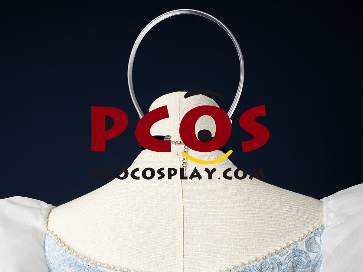 Cinderella Cartoon Version Cosplay Costume C08290